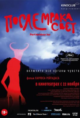 После мрака свет (2012)