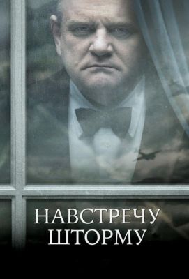 Навстречу шторму (2009)