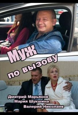 Муж по вызову (2015)