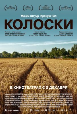 Колоски (2013)