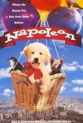 Наполеон / Napoleon (1995)