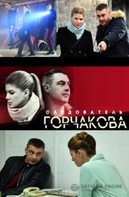 Следователь Горчакова (2019)