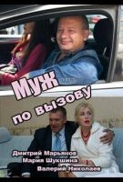 Муж по вызову